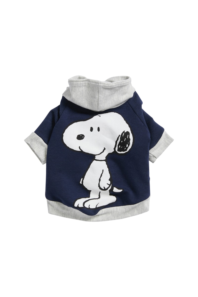 Buy Gucci and Supreme Sweaters for Your Dog