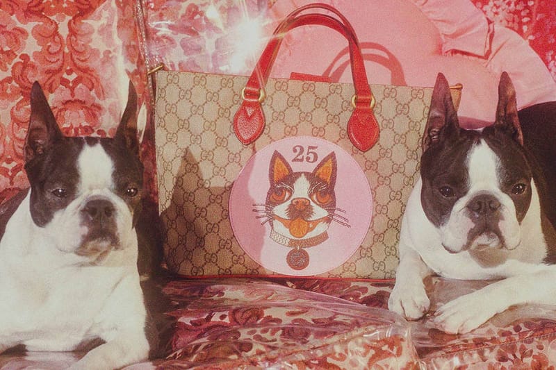 Celebrate the Year of the Dog with Items from Gucci, Levi's and Converse