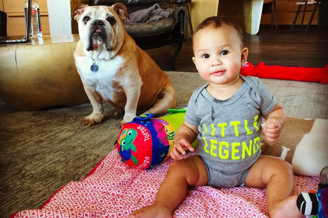 8 Cutest Fashion Designer Celebrity Pet Dogs Hypebae