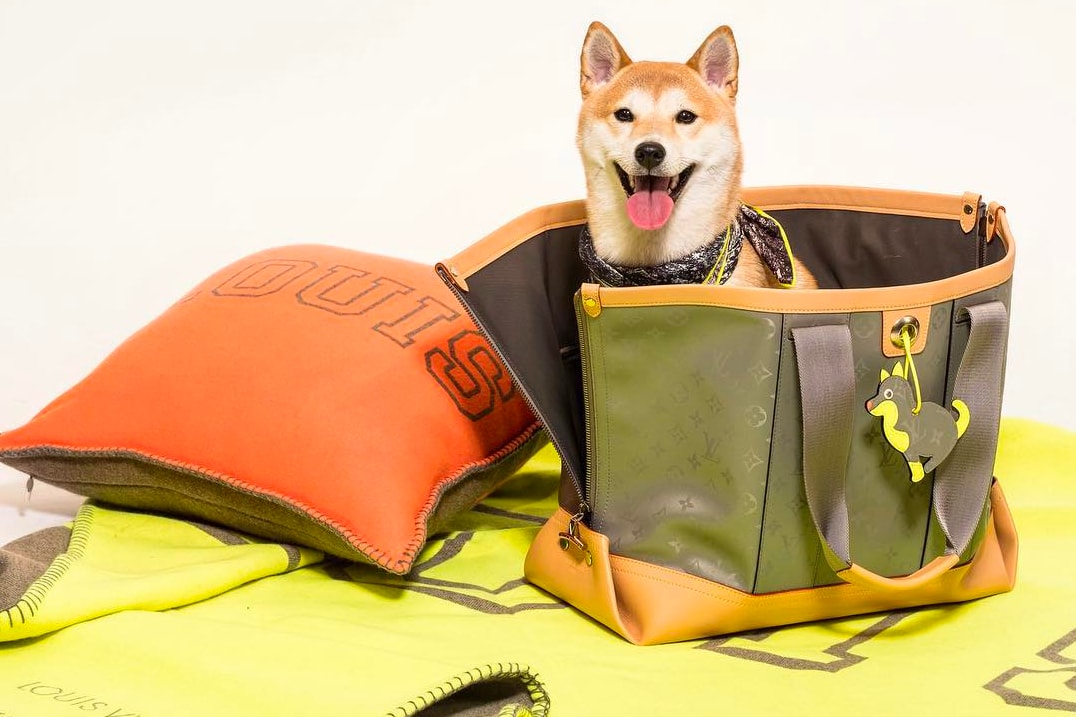 Fashion Designer Celebrity Pet Dogs Year of the Dog Chinese New Year Lunar Kim Kardashian North West Sushi Jones Louis Vuitton Shiba Inu Gugu Irene Kim Biggie Zendaya Noon Missy Elliot Gucci Hoodie Alessandro Michele Bosco Orso