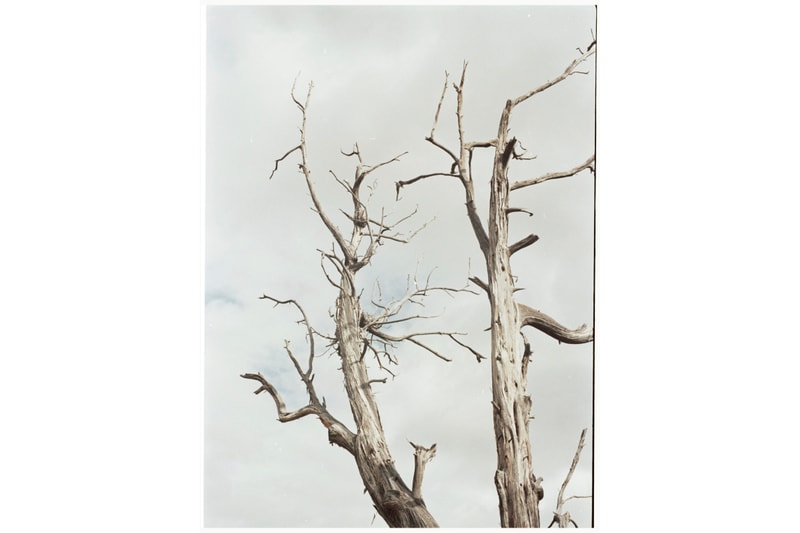Kailee McKenzie STAATSBALLETT Heroine Interview Feature Photography Nature