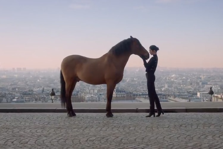 Kendall Jenner Helps Celebrate Longchamp's 70th Anniversary With New Campaign