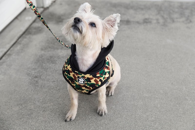 Fresh Pawz Streetwear Dogs Gucci Hermes Off White Supreme Anti Social Social Club