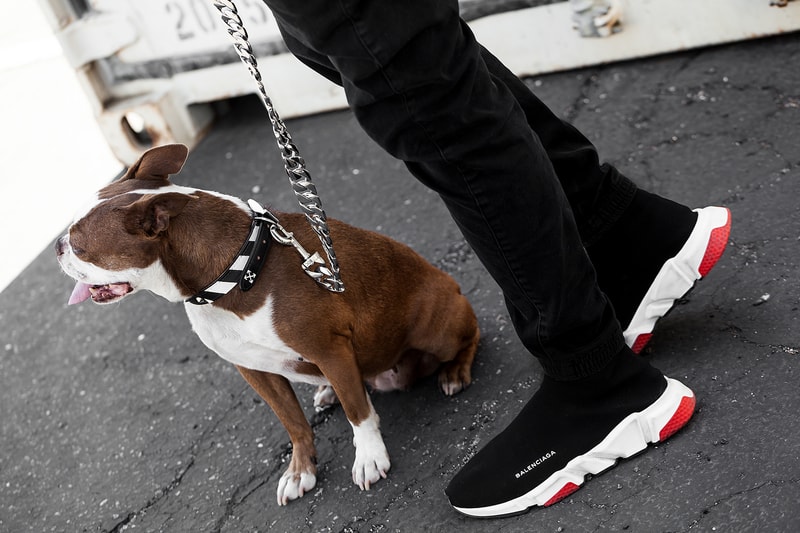 Fresh Pawz Streetwear Dogs Gucci Hermes Off White Supreme Anti Social Social Club