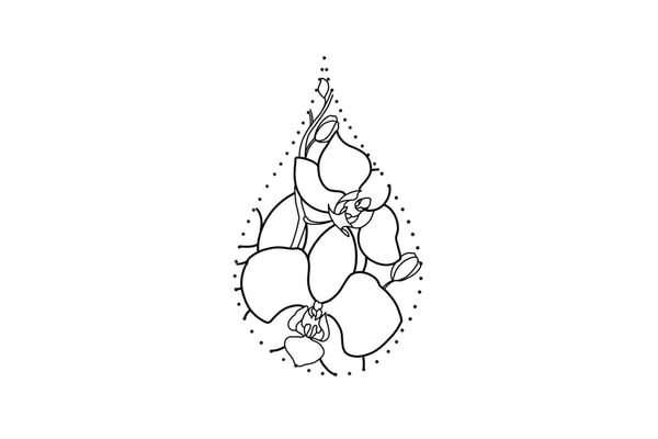 Birth Flower Tattoo Ideas For Every Zodiac Sign Hypebae