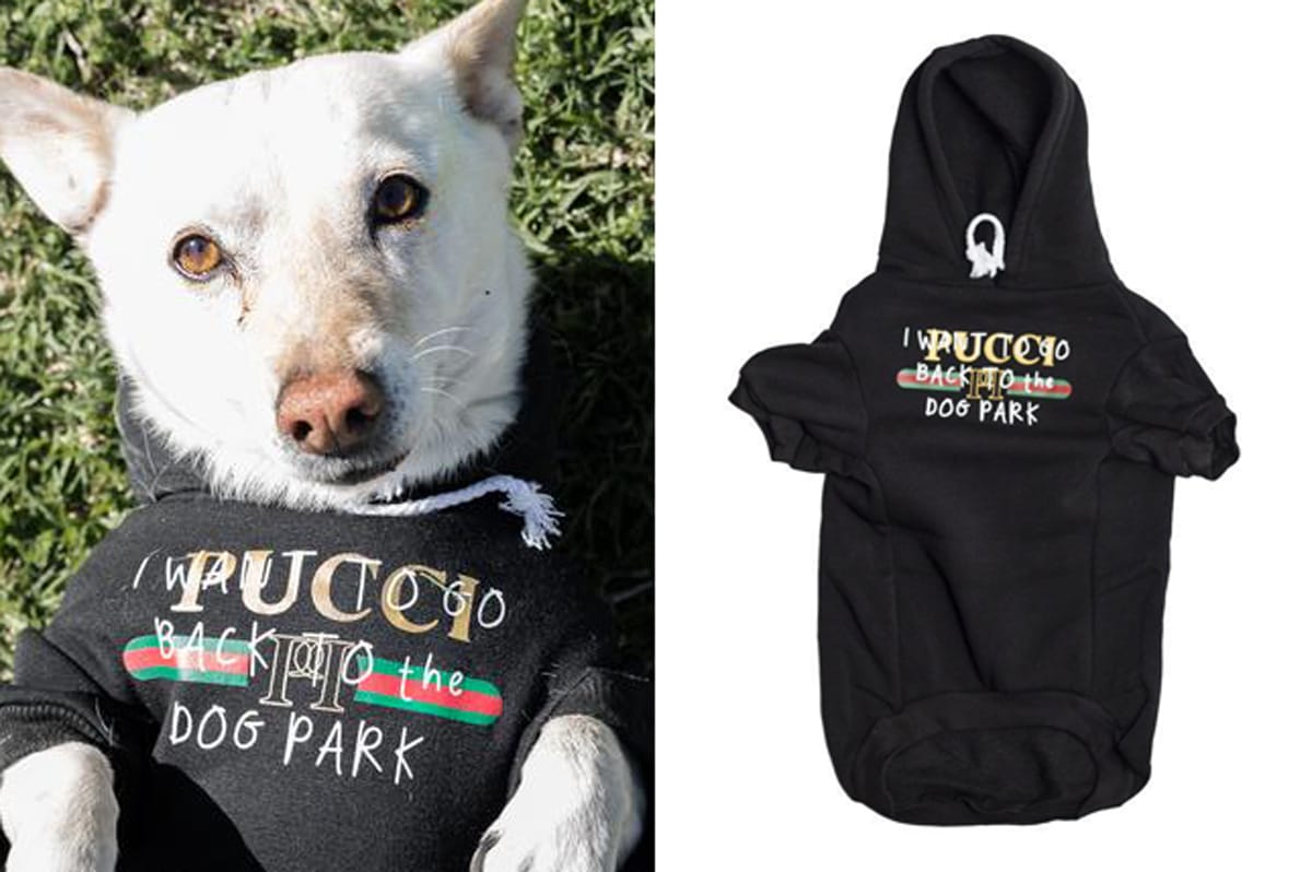 Streetwear for Dogs and Cats Featuring 