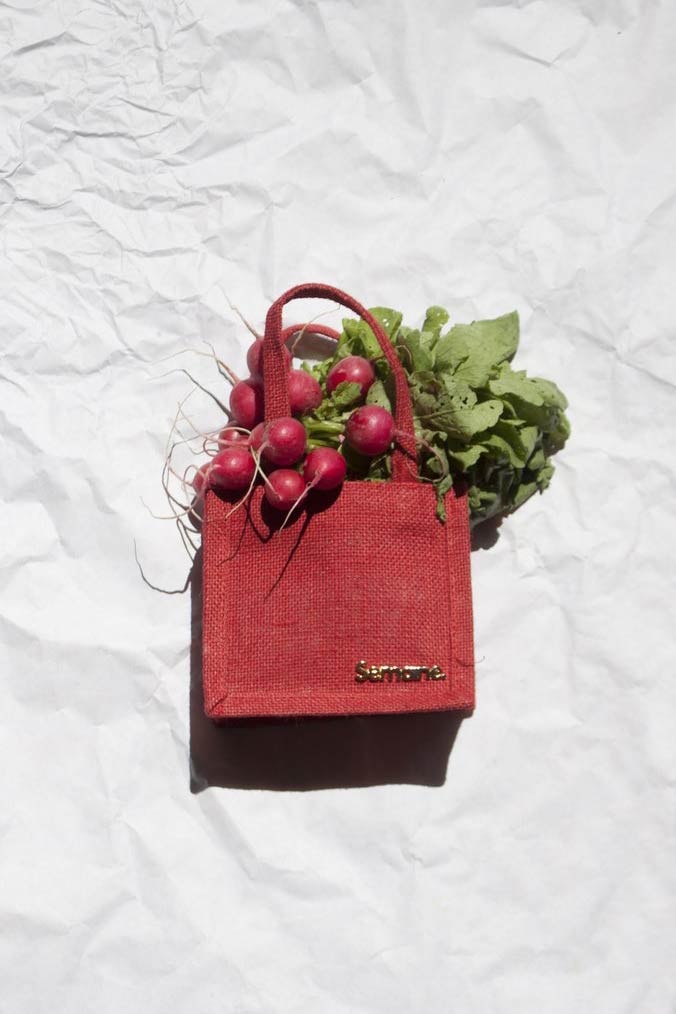 Le Semaine Sac Mini Red