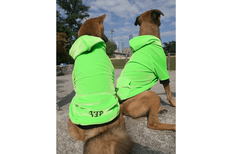 Heron Preston Very Important Puppies Dog Accessories