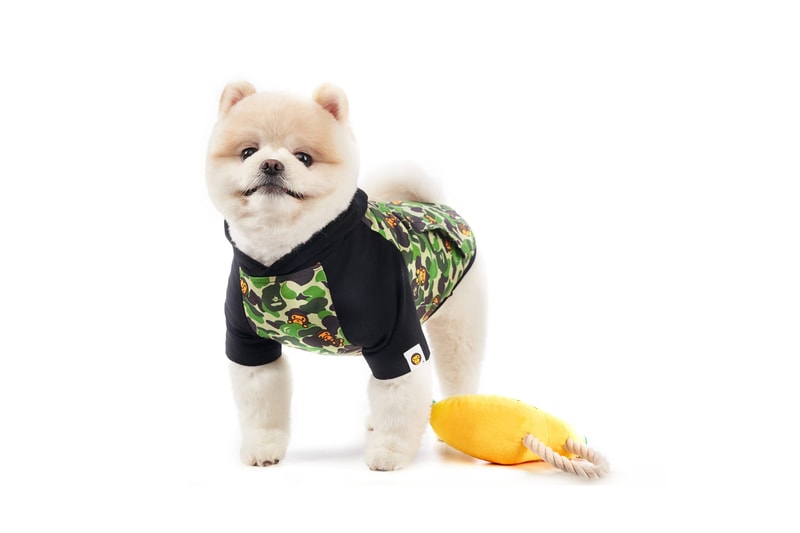 bape baby milo a bathing ape pet collection dog accessories bandana leash bed carry bag beanbag puppy
