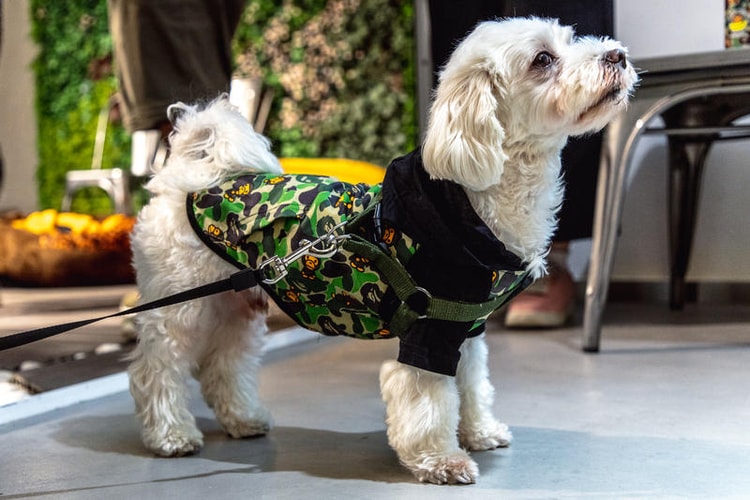 Take a Look Inside BAPE's Baby Milo Pets Pop-Up Shop