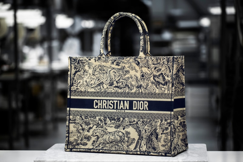 Dior Cruise 2019 Book Tote Toile De Juoy Blue