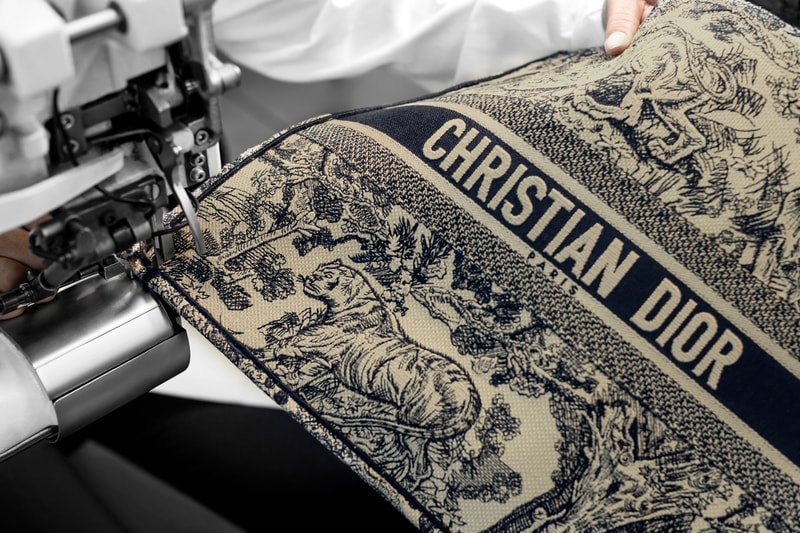Dior Cruise 2019 Book Tote Toile De Juoy Blue