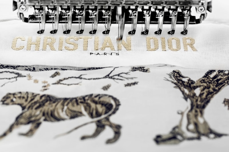 Dior Cruise 2019 Book Tote Toile De Juoy Blue