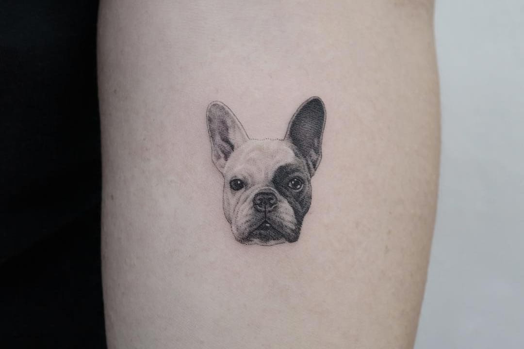 Pet Tattoo Artist | Pet Tattoo Ideas - Sam Tattoo India
