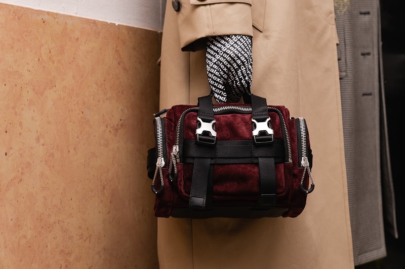 Alexander Wang December 2018 Runway Show Backstage Model Bag