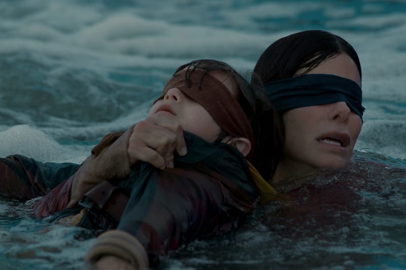 Netflix Urges People to Not Participate in 'Bird Box' Challenge