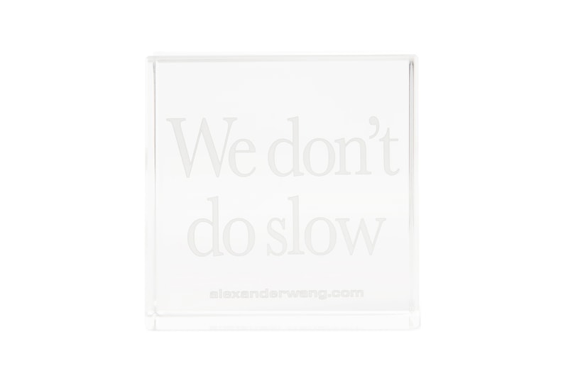 Alexander Wang dot com Collection Cube
