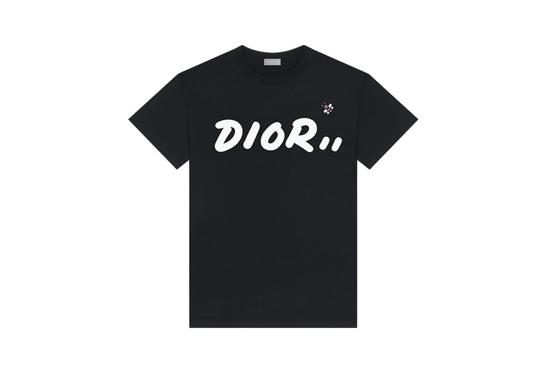 KAWS Dior Bags T Shirt Fanny Pack 