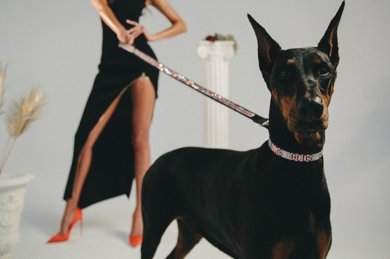 Very Important Puppies GCDS Pet Collaboration Collar Leash Silver Red