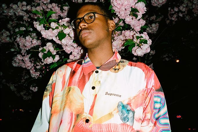 Supreme Collabs With Sekintani La Norihiro for Its SS19 Collection