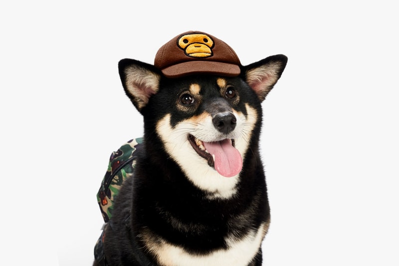 Baby Milo Launches New Pet Collection for SS19 BAPE Print Dog Range Bowl Ice Pack Toys Clothes Coat Hat Accessories