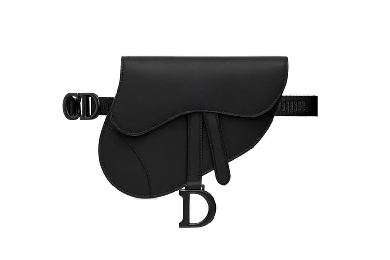 This Dior Saddle Bag Is the Chicest One Yet