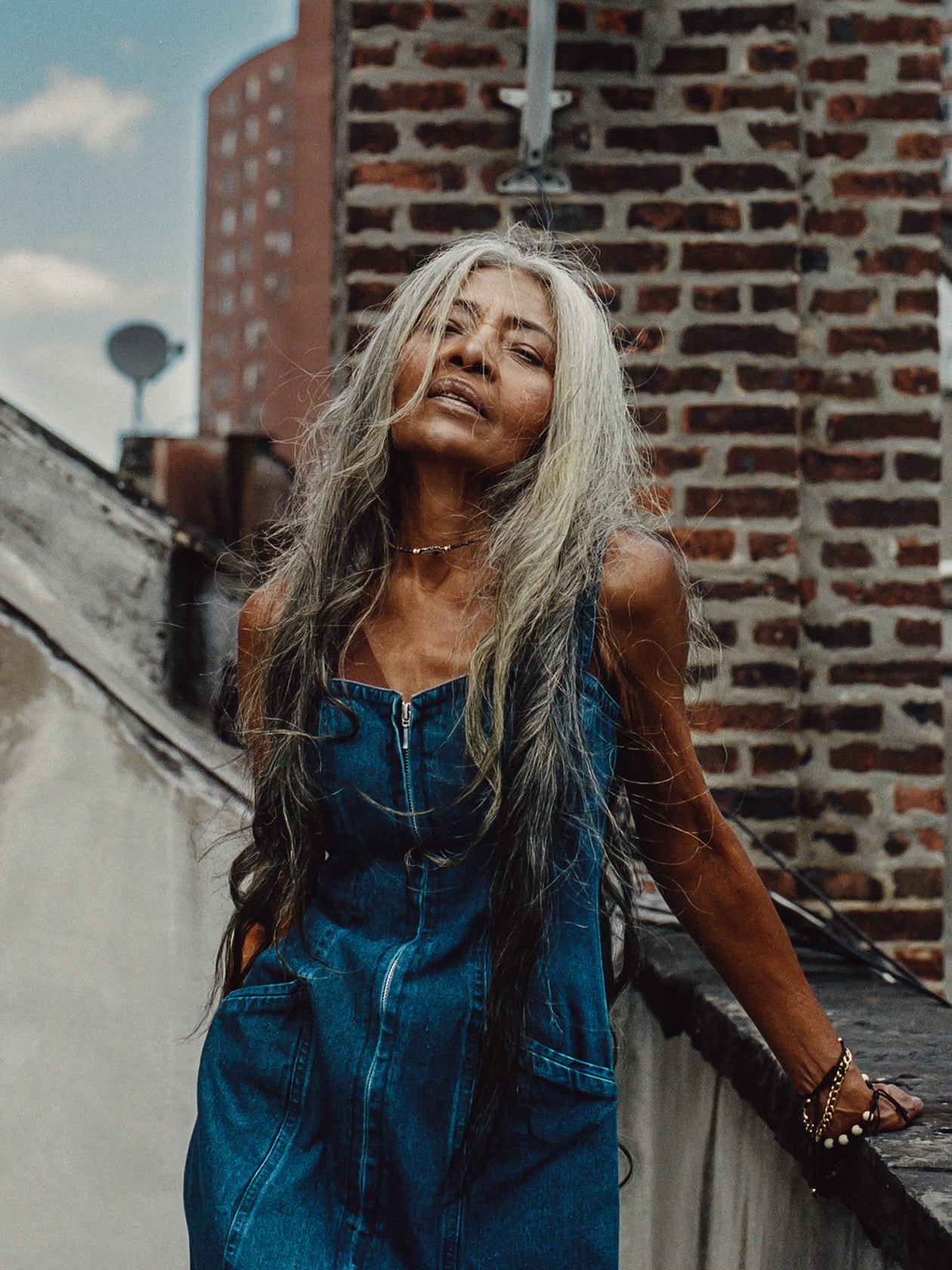 JoAni Johnson 67 Year Old Model Fenty Rihanna Campaign New York Editorial Grey Hair Gray Long Beauty Diversity Fashion