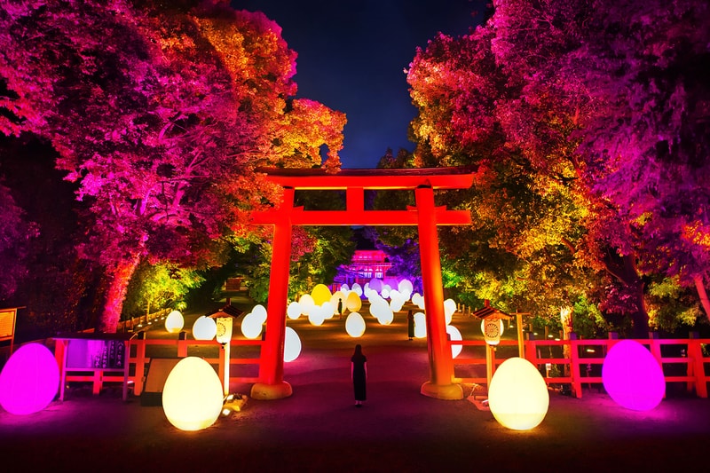teamlab digitized forest kyoto world heritage site shimogamo shrine art exhibition museums japan 