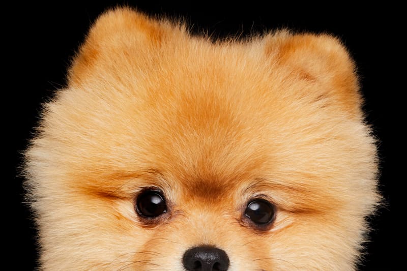 Hourglass Cosmetics' "Eye to Eye" Campaign Is Too Cute to Handle