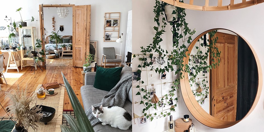 dwarf fiddle leaf fig Fiddle-Leaf Fig Tree | Pet Memorial Tree