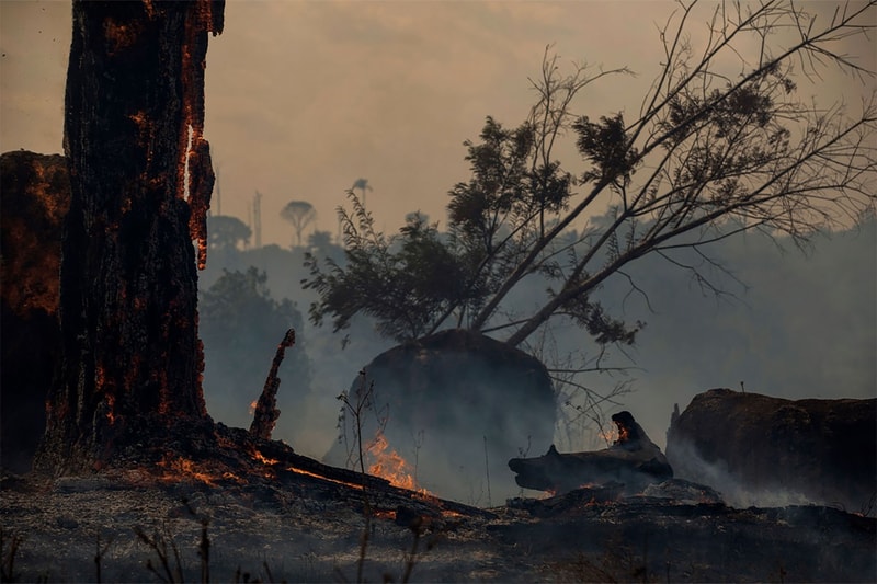 amazon forest fire brazil vogue business footwear industry environment funds sustainability 