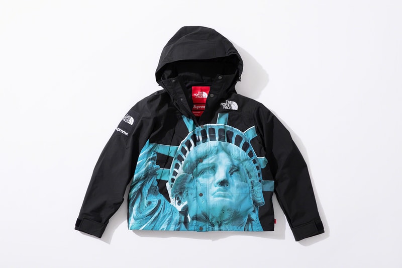 supreme the north face fall winter collection jackets waterproof black yellow lady liberty