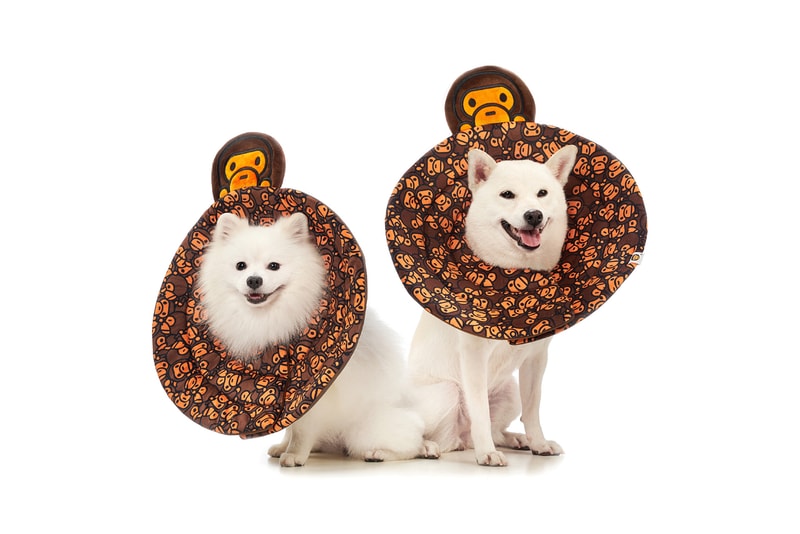 BAPE Baby Milo Dog Fall Winter 2019 Collection Lookbook Cone