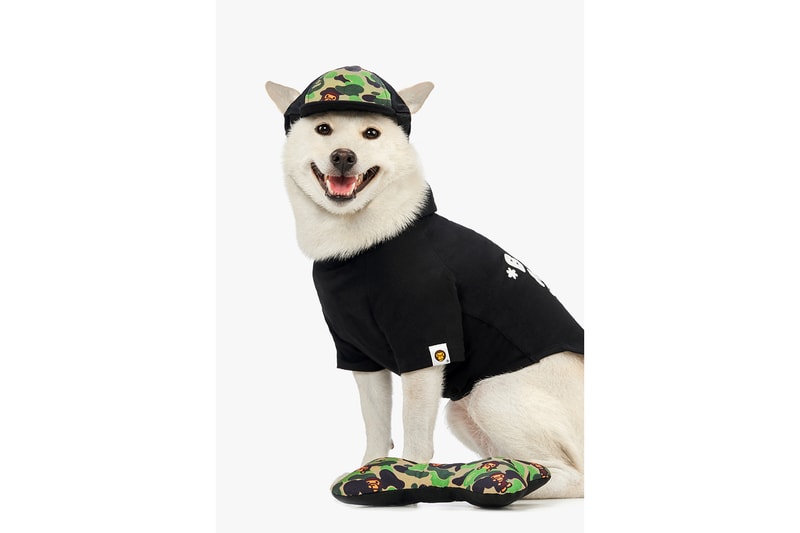BAPE Baby Milo Dog Fall Winter 2019 Collection Lookbook Sweater Black Hat Camo