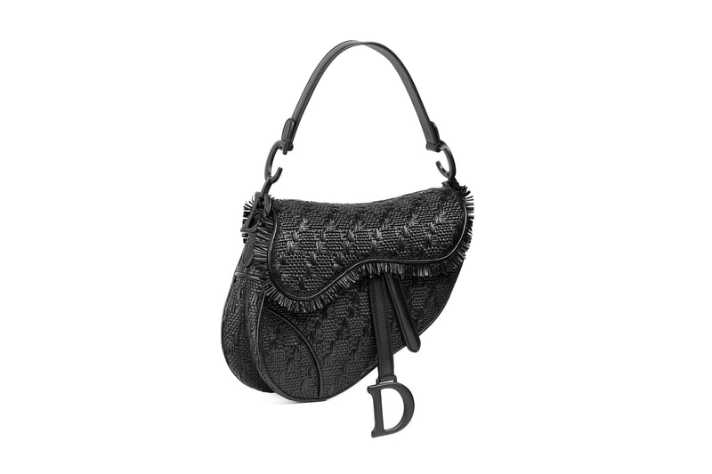 Dior Monogram Saddle Bag Logo Book Tote Cruise 2020 Print 
