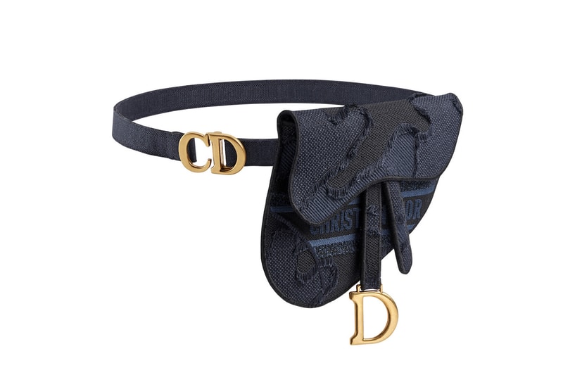 Dior Monogram Saddle Bag Logo Book Tote Cruise 2020 Print 