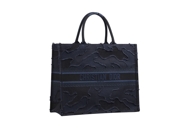 Dior Monogram Saddle Bag Logo Book Tote Cruise 2020 Print 