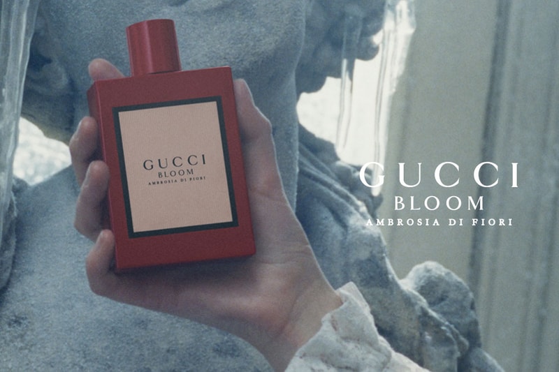 Gucci Bloom Ambrosia di Fiori Perfume Fragrance