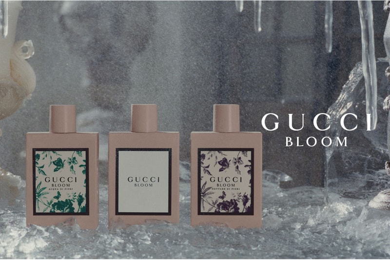 Gucci Bloom Ambrosia di Fiori Perfume Fragrance