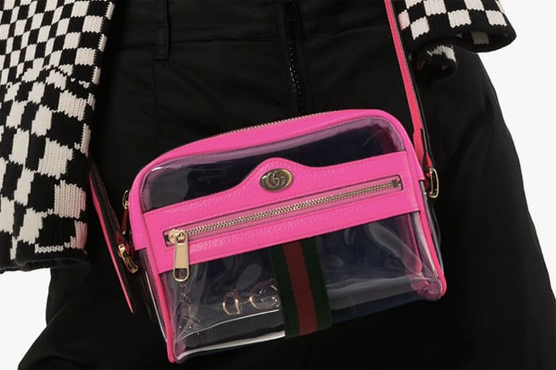 Put All Your Winter Essentials in Gucci's Ophidia Transparent Mini Bag