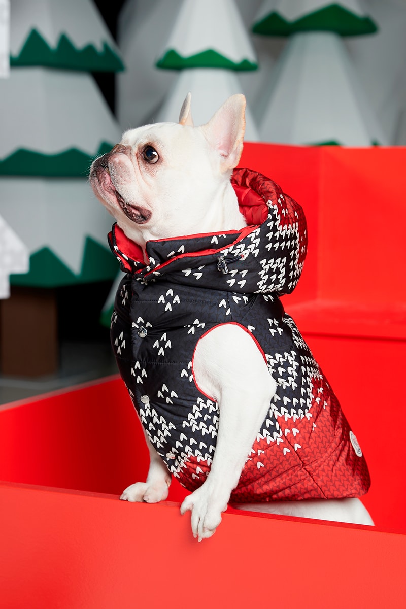 Poldo Dog Couture x Moncler Collection Lookbook Mondog Puffer Coat Red