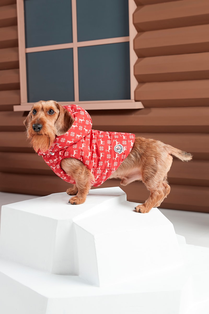 Poldo Dog Couture x Moncler Collection Lookbook Mondog Puffer Coat Special Edition Red