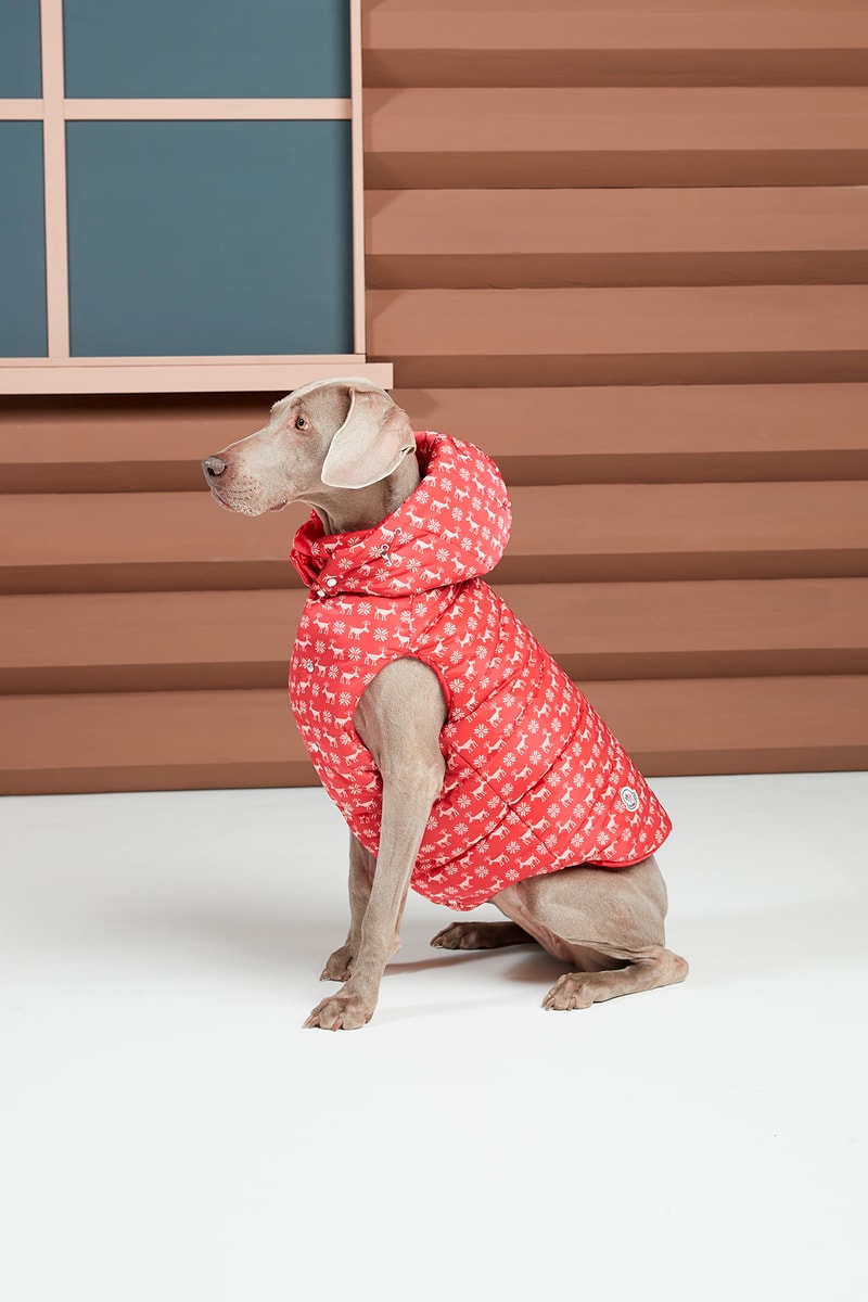 Poldo Dog Couture x Moncler Collection Lookbook Mondog Puffer Coat Special Edition Red
