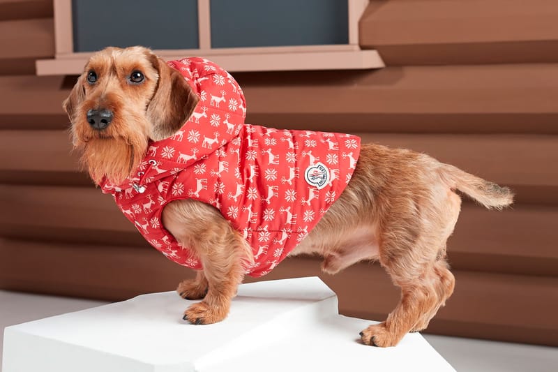 Dress Your Dog in Poldo Couture x Moncler's New Pet Puffers