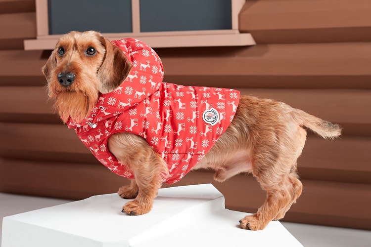 Dress Your Dog in Poldo Couture x Moncler's New Pet Puffers