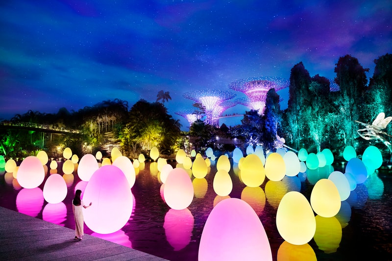 teamLab Singapore #futuretogether Autonomous Resonating Life on the Water and Resonating Trees - Dragonfly Lake