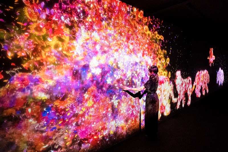 teamLab Singapore #futuretogether Animals of Flowers, Symbiotic Lives
