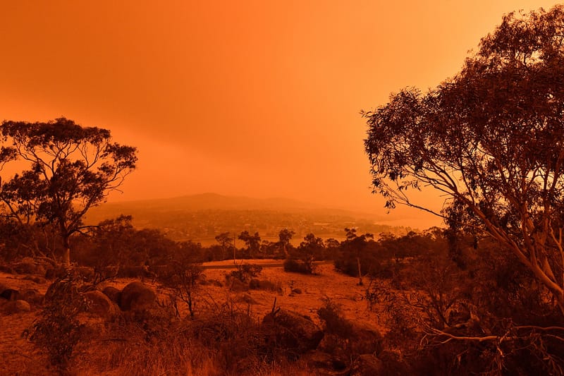 Gucci, Bottega Veneta, Balenciaga & More Donate Over $685,000 USD to Support Australia’s Bushfire Crisis
