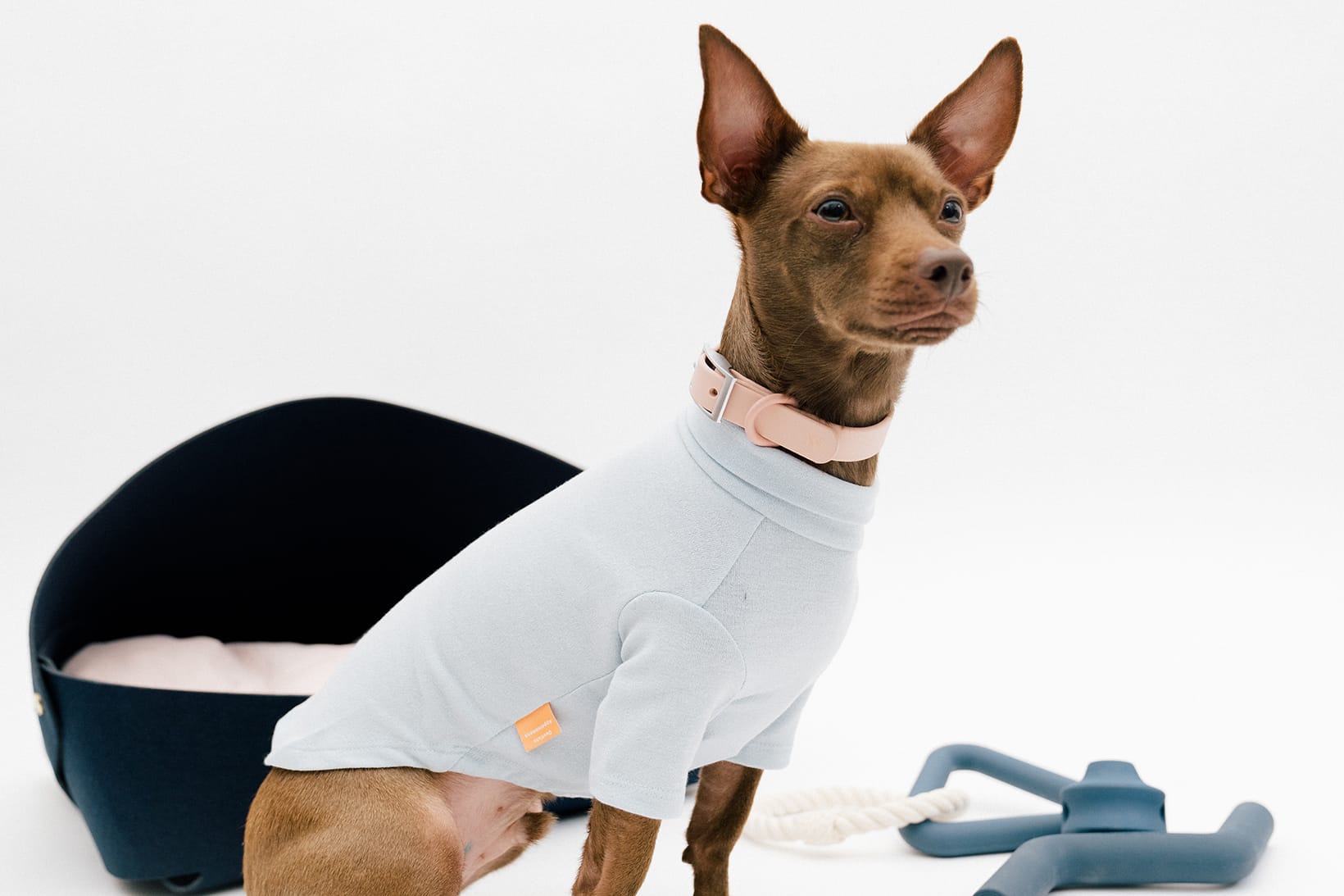 luxury dog apparel