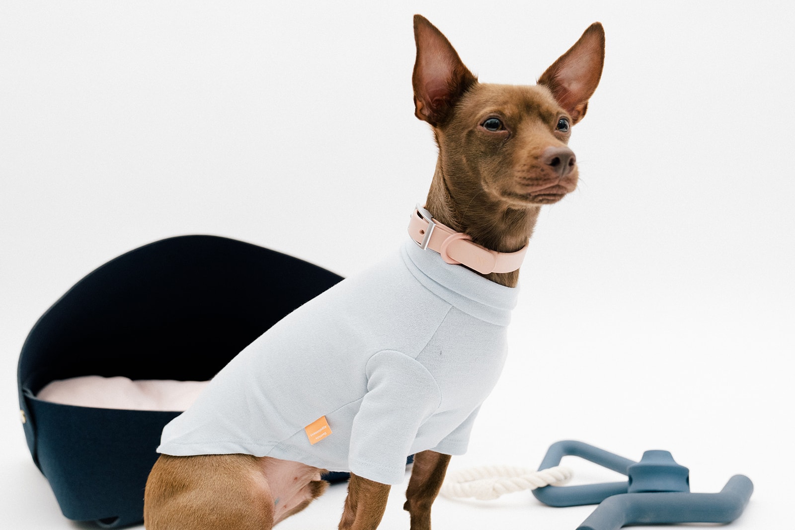 The 10 Best Dog Clothing And Accessory Brands Hypebae